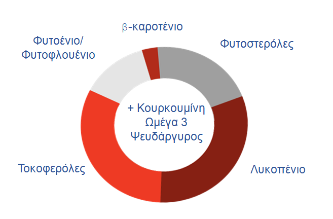 chart1 chart1